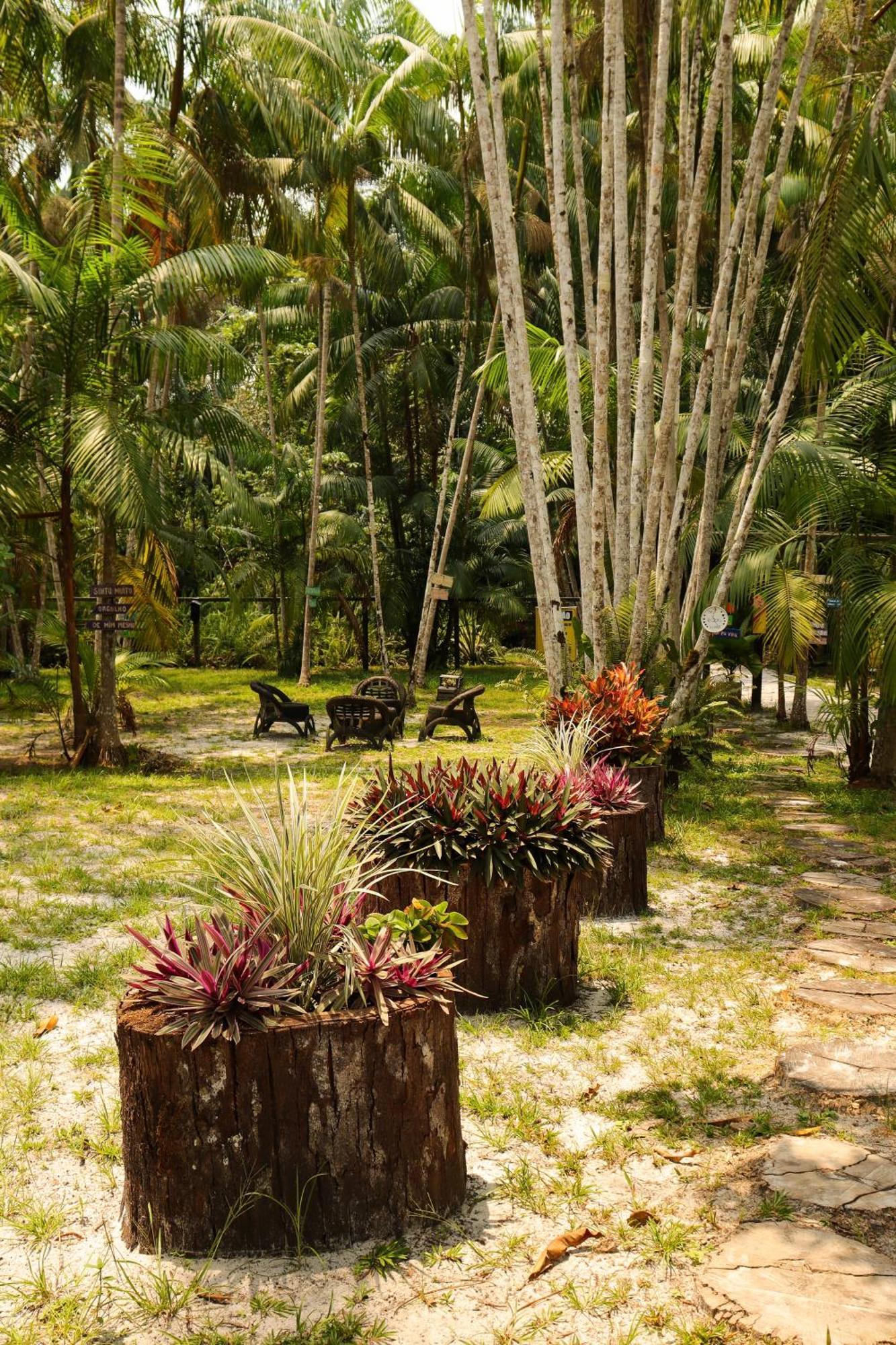 Pousada Paraiso Do Calango Azul Presidente Figueiredo Exterior foto